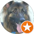 Steve C Avatar